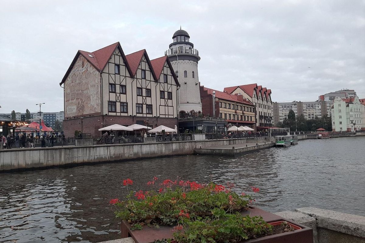 В Калининград в любой день